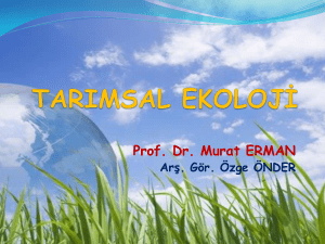 Prof. Dr. Murat ERMAN