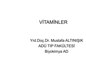 vitaminler - mustafaaltinisik.org.uk