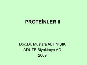 PROTEİNLER II - mustafaaltinisik.org.uk