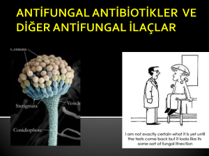 Antifungal antibiyotikler ve diğer antifungal ilaçlar Kaynak