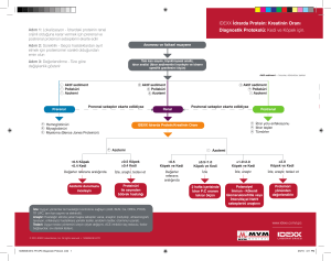 IDEXX İdrarda Protein: Kreatinin Oranı Diagnostik Protokolü: Kedi ve