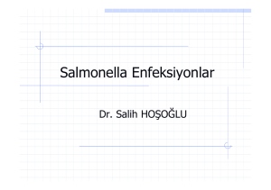 Salmonella Enfeksiyonlar