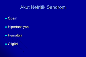 Akut Nefritik Sendrom - Prof.Dr. Ahmet NAYIR