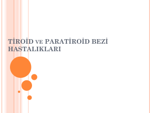 tiroid ve paratiroid hast ders