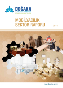 Mobilyacılık Sektör Raporu 2014