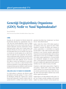 Genetiği Değiştirilmiş Organizma (GDO)