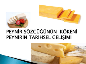 peynir sözcüğünün kökeni peynirin tarihsel gelişimi