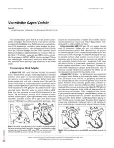 Ventriküler Septal Defekt