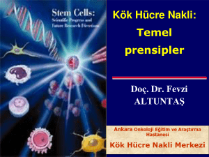 Kök Hücre Nakli: Temel prensipler