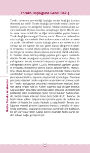 Ratta Toraks Anatomisi Toraks Boşluğuna Genel Bakış (PDF