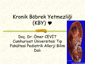 The Renal Patient - Cumhuriyet Üniversitesi Tıp Fakültesi