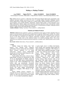 MAHLEP ve MAHLEP ÜRÜNLERİ - Journal of Agricultural Faculty of