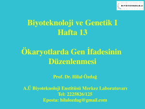 Biyoteknoloji ve Genetik I Hafta 13 Ökaryotlarda Gen