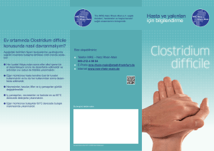 Clostridium difficile - MRE-Rhein-Main