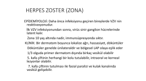 HERPES ZOSTER (ZONA)