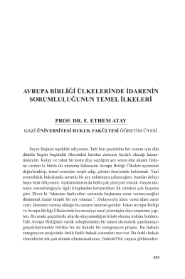 Yerindelik denetimi sakıncalı - Yorum Haberleri - Radikal
