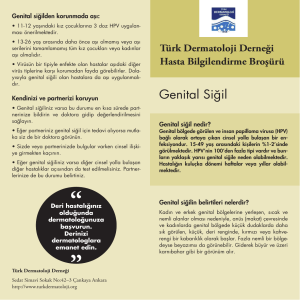 Genital Sigil - Türk Dermatoloji Derneği