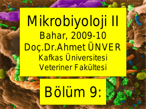 9, Clostridium inf. - Kafkas Üniversitesi