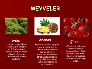 meyveler - WordPress.com