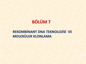 PowerPoint Sunusu - Erzurum Teknik Üniversitesi
