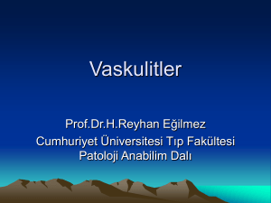 Vaskulitler - Cumhuriyet Üniversitesi Tıp Fakültesi Öğrencileri