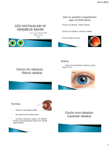 göz hastalıkları ve hemşirelik bakımı