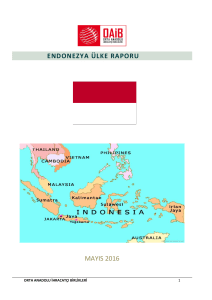 Endonezya Ülke Raporu - Demir ve Demir Dışı Metaller