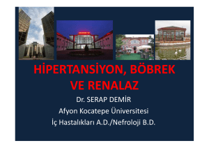 hipertansiyon, böbrek , ve renalaz