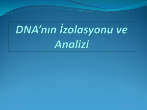 DNA`nın İzolasyonu ve Analizi