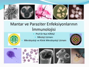 Mantar ve Paraziter Enfeksiyonlar  n  n mmunolojisi