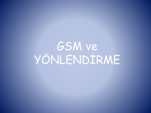 GSM - Mehmet Mehdi KARAKOÇ