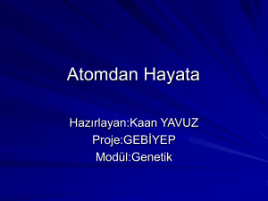 Atomdan Hayata - Ogretmen.info