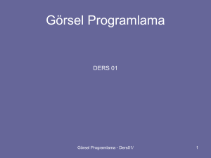 Görsel Programlama