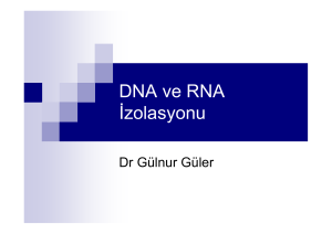 DNA ve RNA İzolasyonu