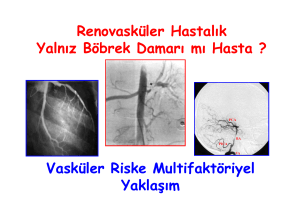 Renovasküler Hastalık Yalnız Böbrek Damarı mı Hasta ? Vasküler