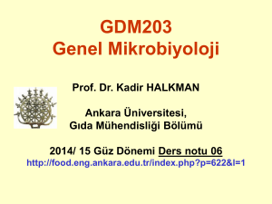 GDM 203 06 - Ankara Üniversitesi Gıda Mühendisliği