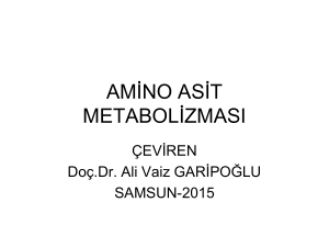 amino asit metabolizması - Doç. Dr. Ali Vaiz Garipoğlu