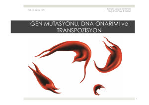 15. Gen Mutasyonu, DNA Onarımı ve