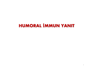 humoral ve hücresel immun yanıt-2016
