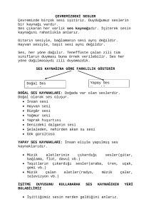 ÇEVREMİZDEKİ SESLER Çevremizde birçok sesi