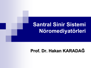 Prof. Dr. Hakan Karadağ