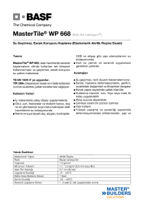 MasterTile® WP 668