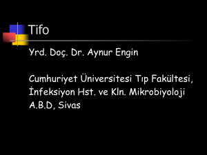 Tifo - Cumhuriyet Üniversitesi Tıp Fakültesi Öğrencileri İnternet