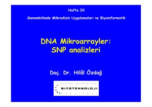 DNA Mikroarrayler: SNP analizleri SNP analizleri
