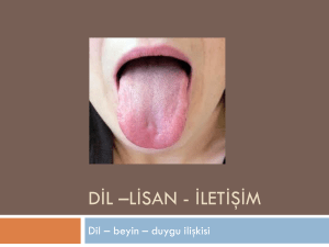 dosyayı indir