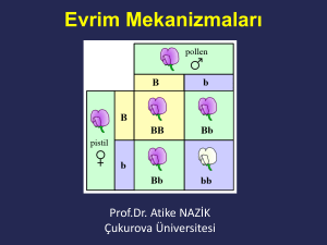 PowerPoint Sunusu - Çukurova Üniversitesi