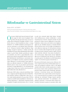 Bifosfonatlar ve Gastrointestinal Sistem