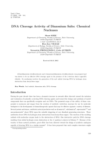 DNA Cleavage Activity of Diazonium Salts
