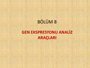 PowerPoint Sunusu - Erzurum Teknik Üniversitesi