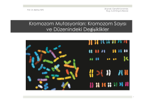 Kromozom Mutasyonları - Prof. Dr. Bektaş TEPE